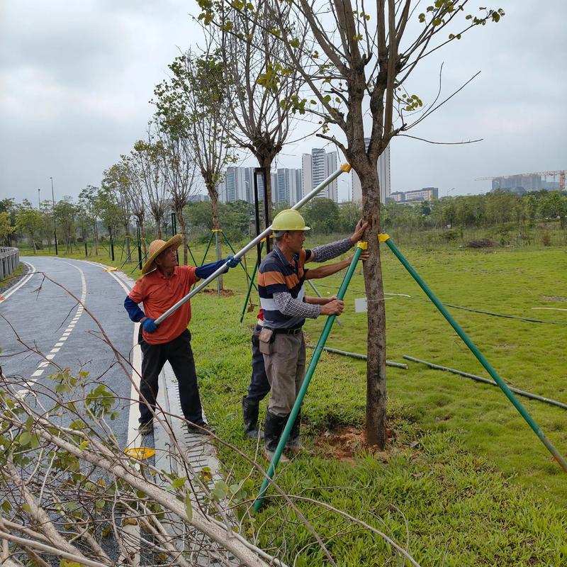 物业管理行业最新动态：住宅小区服务升级