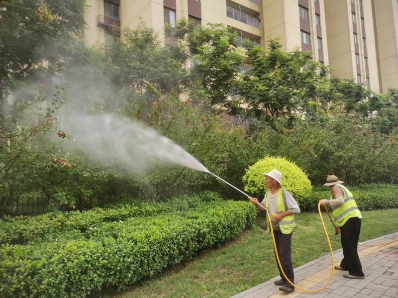 绿化养护